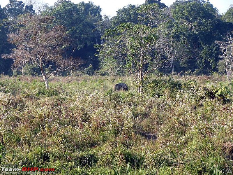 Safari VTT-TMT Exotic Tour - Known and Unknown Western Arunachal and Nameri[Assam]-img_6531.jpg