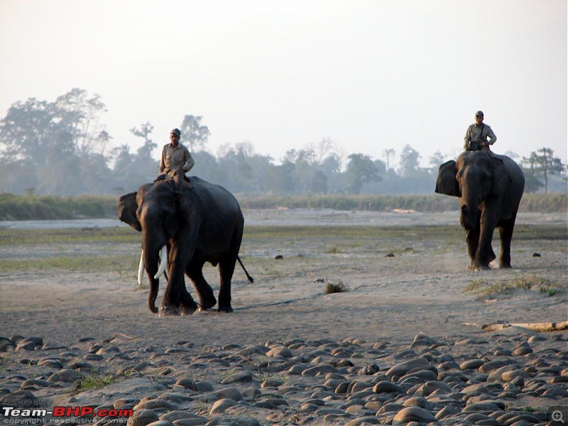 Safari VTT-TMT Exotic Tour - Known and Unknown Western Arunachal and Nameri[Assam]-img_6545.jpg