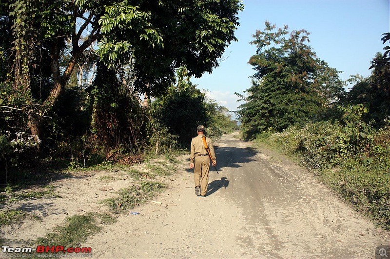 Safari VTT-TMT Exotic Tour - Known and Unknown Western Arunachal and Nameri[Assam]-img_6573.jpg