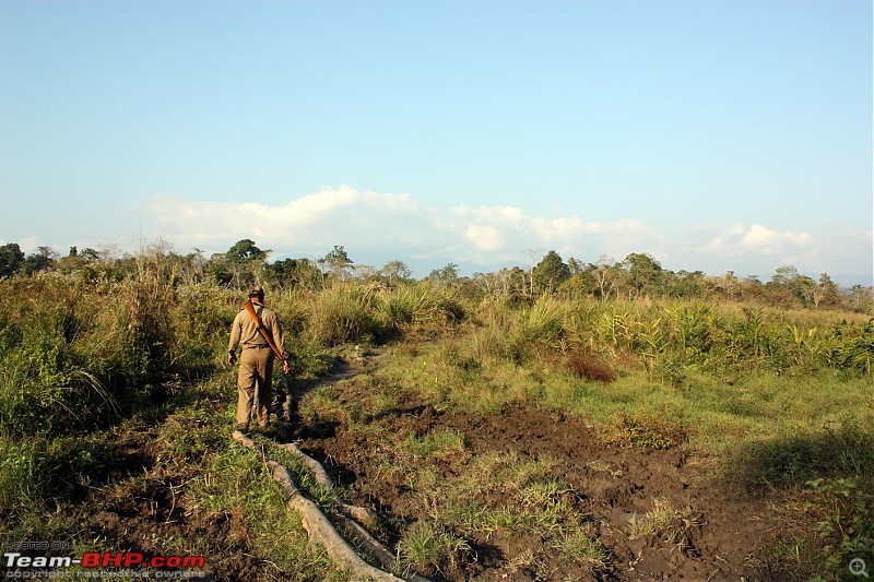 Safari VTT-TMT Exotic Tour - Known and Unknown Western Arunachal and Nameri[Assam]-img_6575.jpg