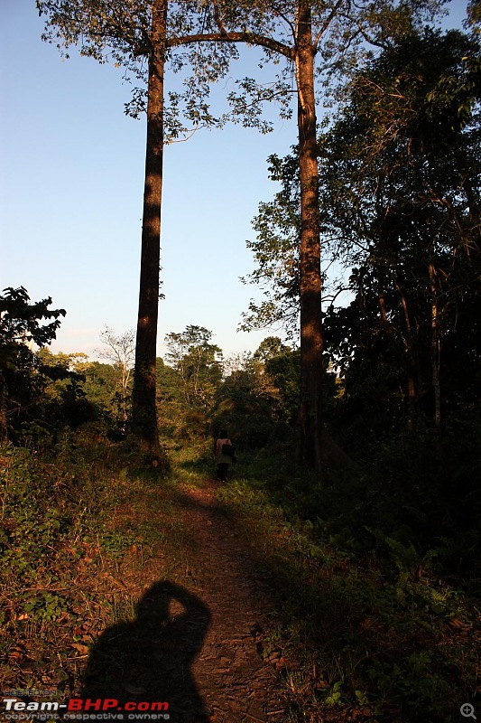 Safari VTT-TMT Exotic Tour - Known and Unknown Western Arunachal and Nameri[Assam]-img_6582.jpg