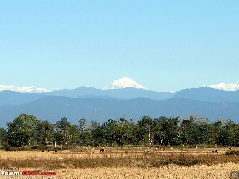 Safari VTT-TMT Exotic Tour - Known and Unknown Western Arunachal and Nameri[Assam]-img_6560.jpg