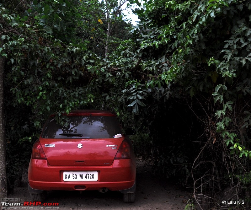 Swifted : Nelliyampathy via Valparai-20100403_0311.jpg