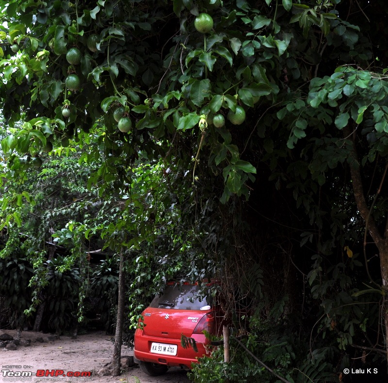 Swifted : Nelliyampathy via Valparai-20100403_0313.jpg