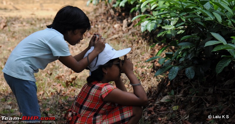 Swifted : Nelliyampathy via Valparai-20100403_0337.jpg