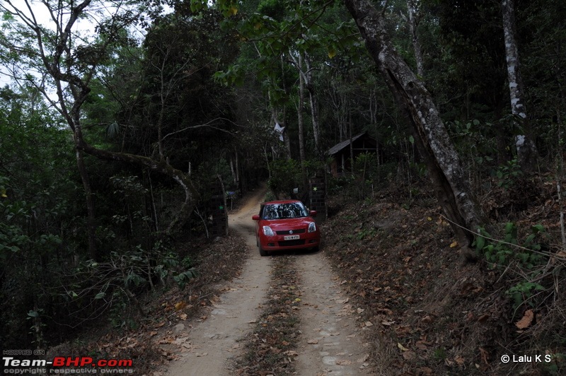 Swifted : Nelliyampathy via Valparai-20100403_0379.jpg