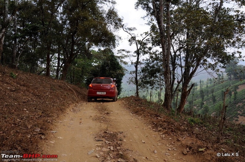 Swifted : Nelliyampathy via Valparai-20100403_0386.jpg