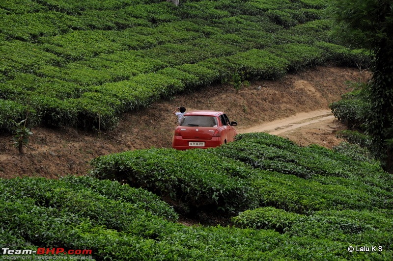 Swifted : Nelliyampathy via Valparai-20100403_0426.jpg