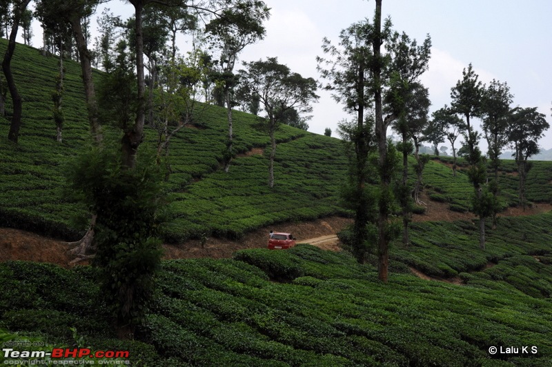 Swifted : Nelliyampathy via Valparai-20100403_0428.jpg