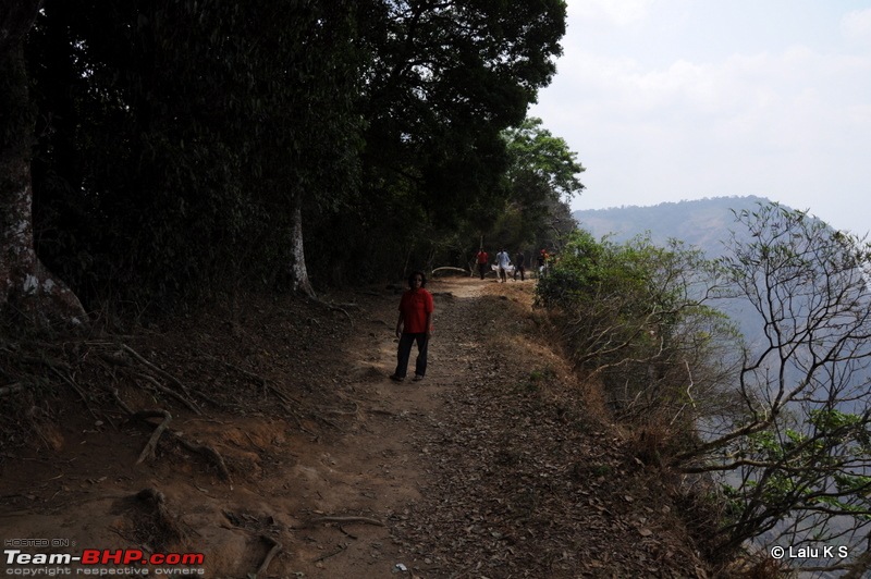 Swifted : Nelliyampathy via Valparai-20100403_0500.jpg