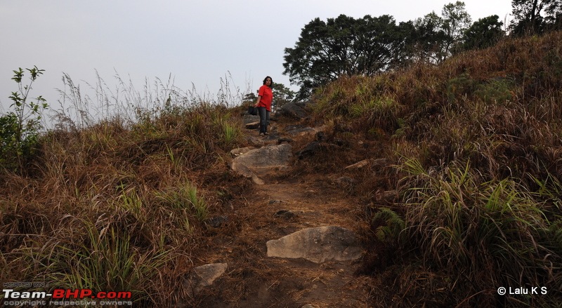 Swifted : Nelliyampathy via Valparai-20100403_0636.jpg