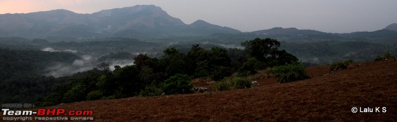 Swifted : Nelliyampathy via Valparai-20100403_0662.jpg