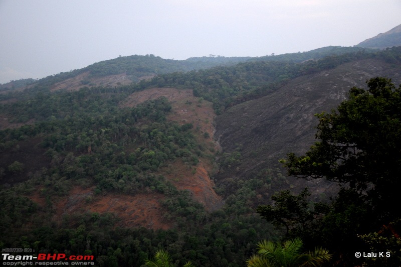 Swifted : Nelliyampathy via Valparai-20100403_0674.jpg