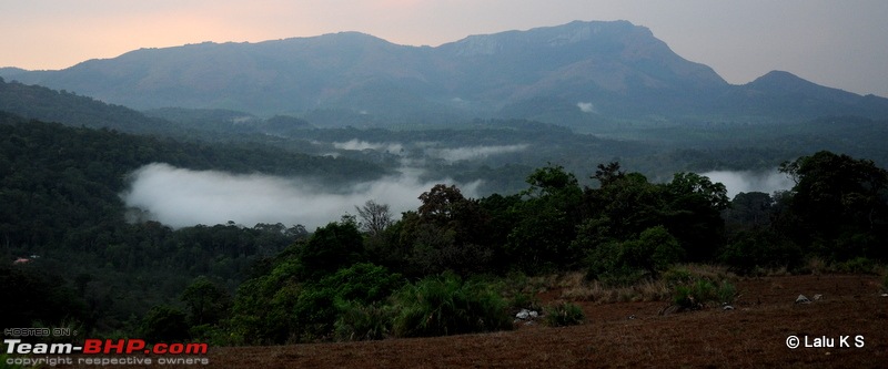 Swifted : Nelliyampathy via Valparai-20100403_0693.jpg