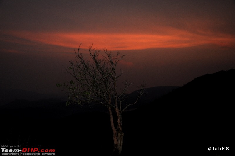 Swifted : Nelliyampathy via Valparai-20100403_0772.jpg