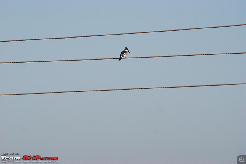 Coastal Gujarat and the Great Rann of Kutch-dsc_1112.jpg