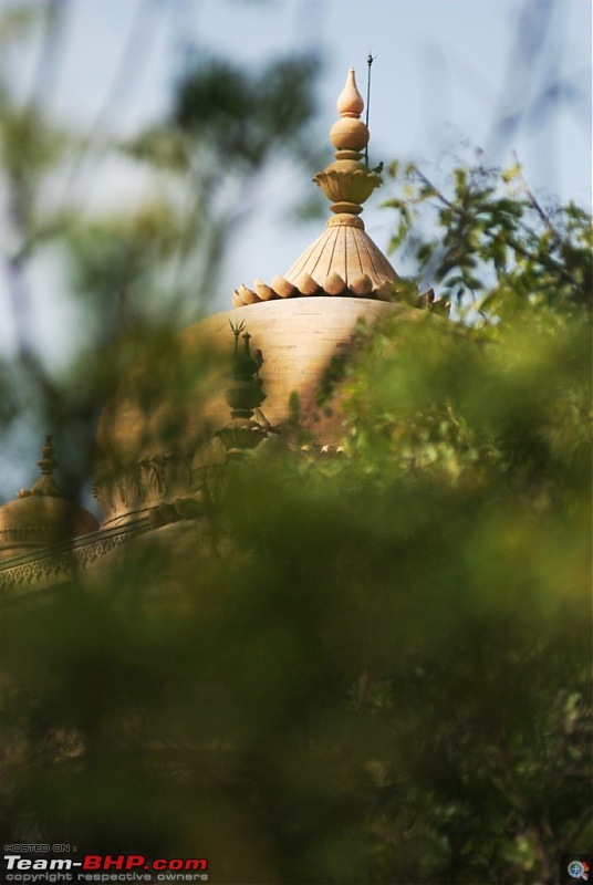 Coastal Gujarat and the Great Rann of Kutch-dsc_1575.jpg