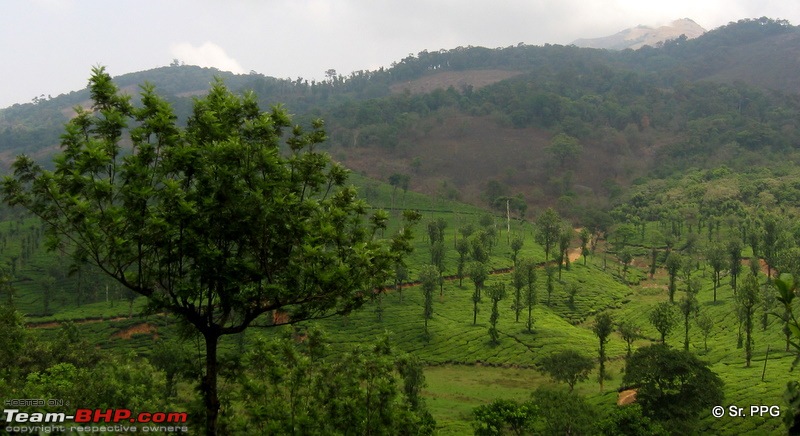 Swifted : Nelliyampathy via Valparai-canonpsa80_0035.jpg