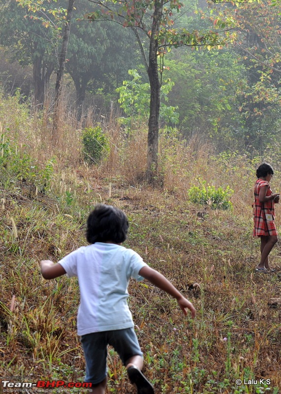 Swifted : Nelliyampathy via Valparai-20100404_0793.jpg