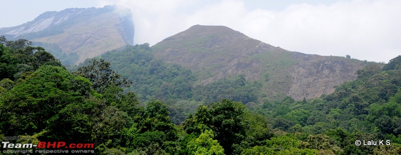 Swifted : Nelliyampathy via Valparai-20100404_0947.jpg