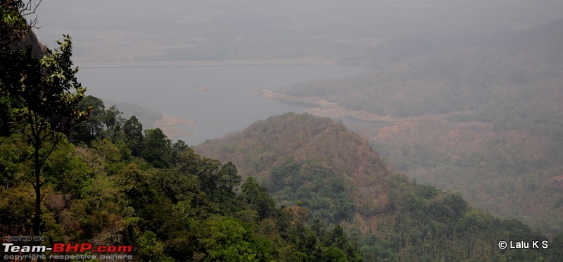 Swifted : Nelliyampathy via Valparai-20100404_0954.jpg