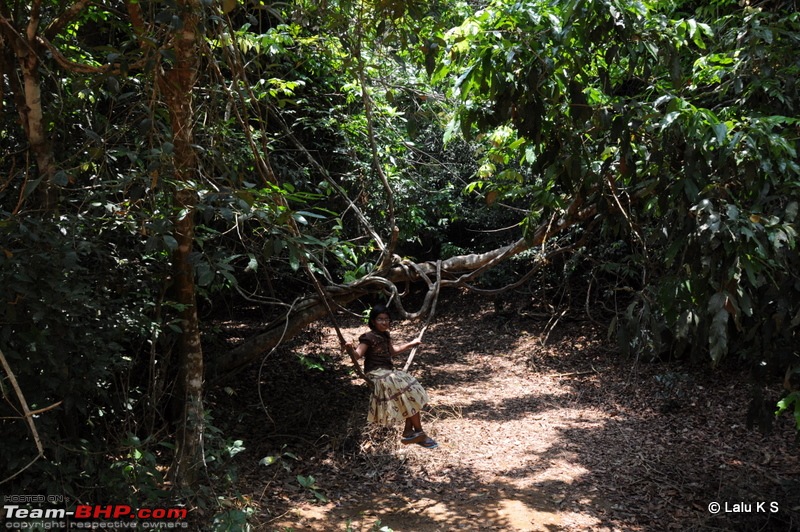 Swifted : Nelliyampathy via Valparai-20100404_1037.jpg