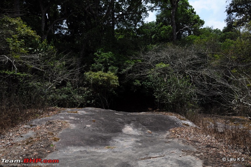 Swifted : Nelliyampathy via Valparai-20100404_1056.jpg