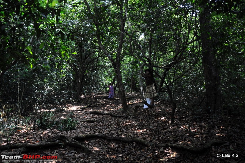 Swifted : Nelliyampathy via Valparai-20100404_1064.jpg