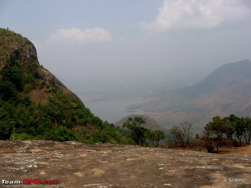 Swifted : Nelliyampathy via Valparai-canonpsa80_0100.jpg