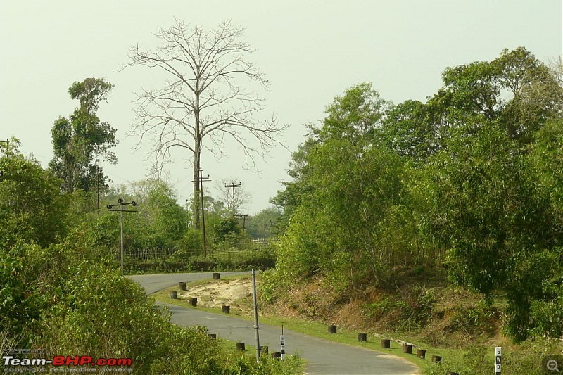 To Tripura : A driving experience to remember-trp01.jpg