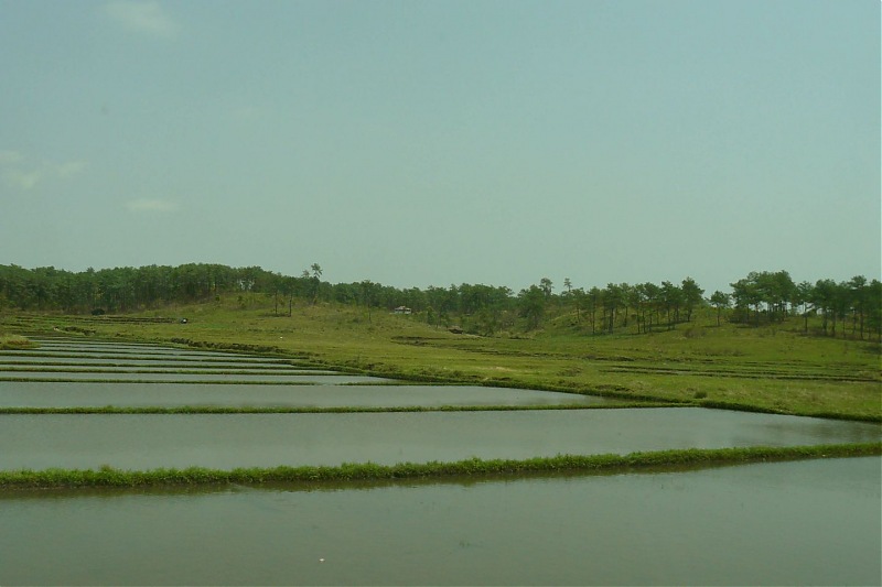 To Tripura : A driving experience to remember-p1040515.jpg