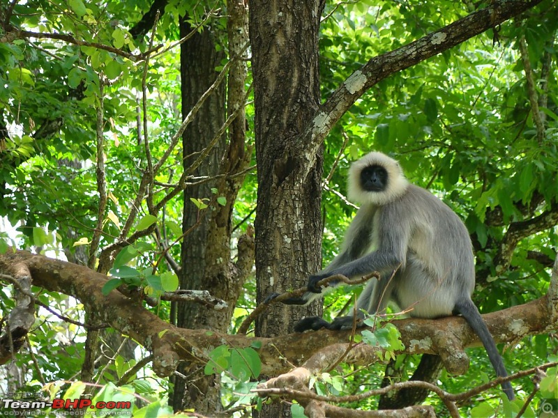 Horrifying Experience in Agraharam Cottages at Waynad !!!-dsc00338.jpg