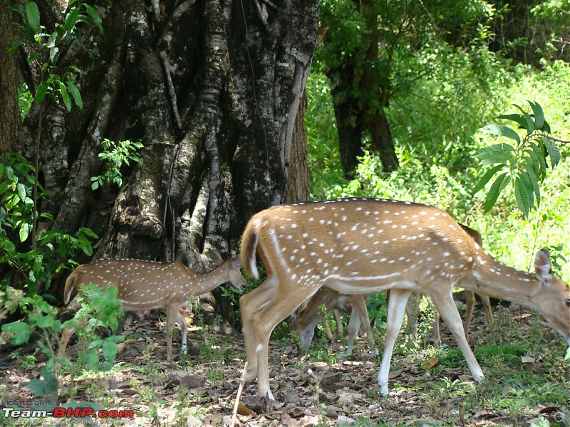 Horrifying Experience in Agraharam Cottages at Waynad !!!-dsc00343.jpg