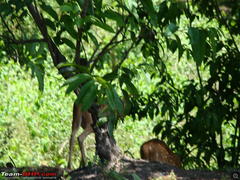 Horrifying Experience in Agraharam Cottages at Waynad !!!-dsc00344.jpg