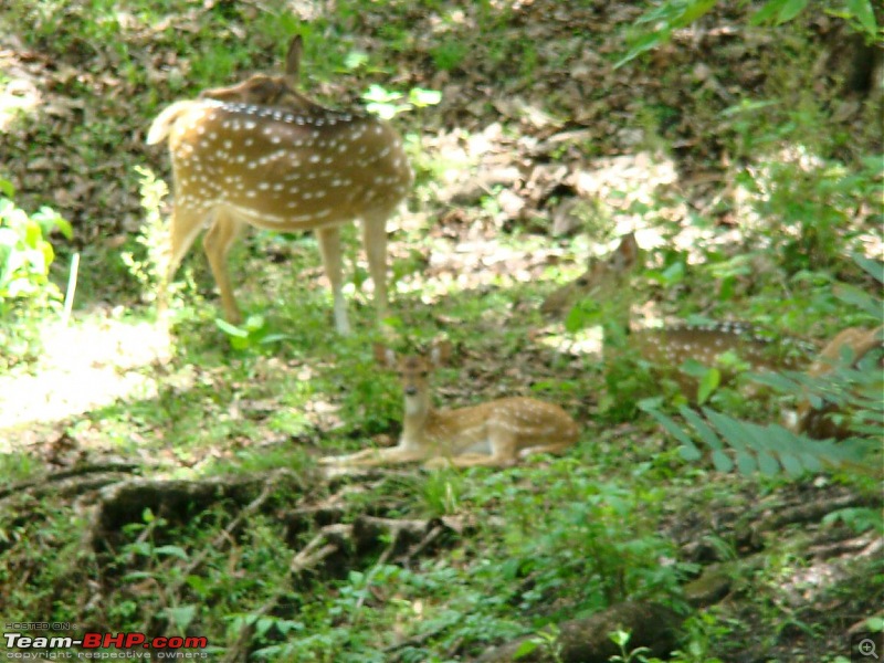 Horrifying Experience in Agraharam Cottages at Waynad !!!-dsc00351.jpg