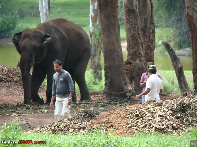 Horrifying Experience in Agraharam Cottages at Waynad !!!-dsc00418.jpg