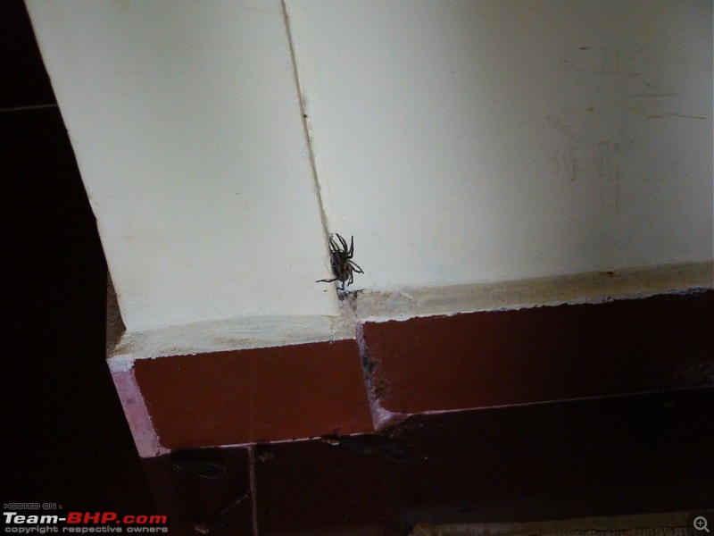 Horrifying Experience in Agraharam Cottages at Waynad !!!-dsc00382.jpg