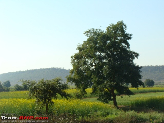 A road trip that changed my driving horizons! 3860 kms Lucknow-Mumbai-Lucknow-dsc03110.jpg