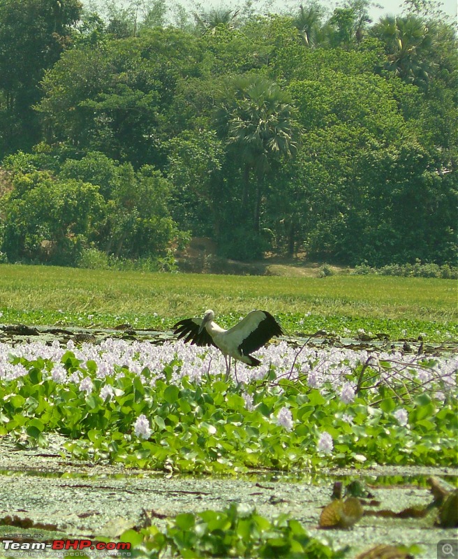 To Tripura : A driving experience to remember-p1040746.jpg