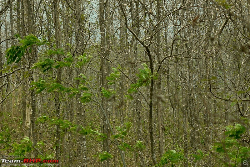 To Tripura : A driving experience to remember-p1040902.jpg