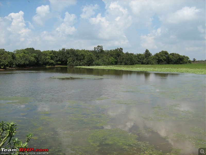 Magnificent Maharashtra - The Mahalog!-pond-1.jpg