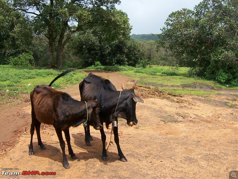 Magnificent Maharashtra - The Mahalog!-no-entry.jpg