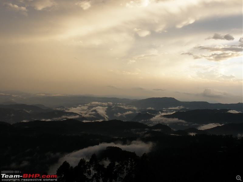 SriSha's D'Log - Trip to Munnar & Thekkady-p5010135.jpg