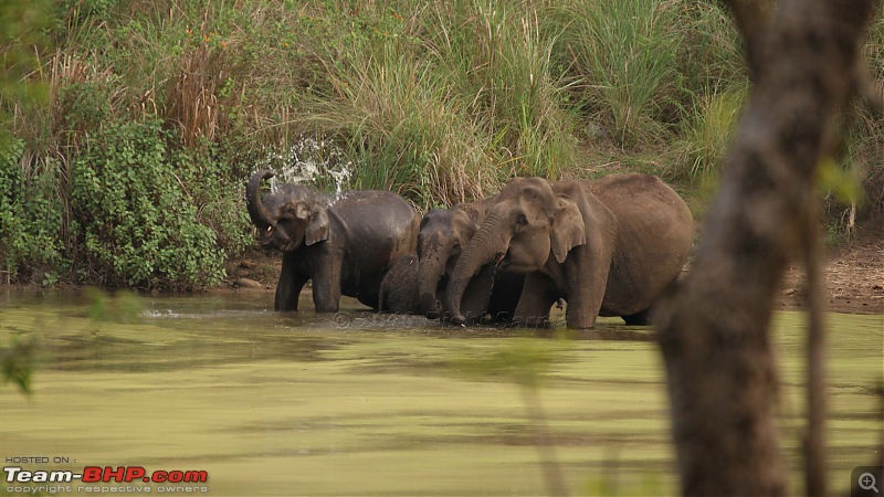 Wildlife beckons-dsc07411.jpg