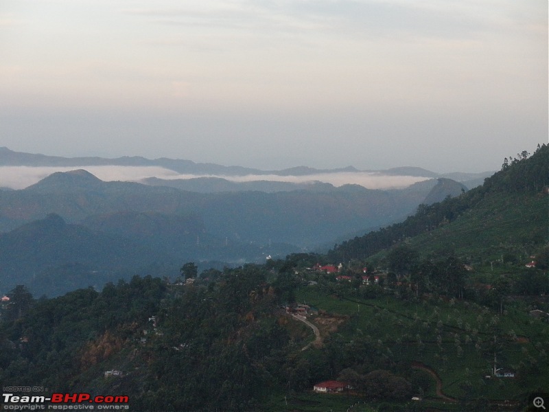 SriSha's D'Log - Trip to Munnar & Thekkady-p5020153.jpg