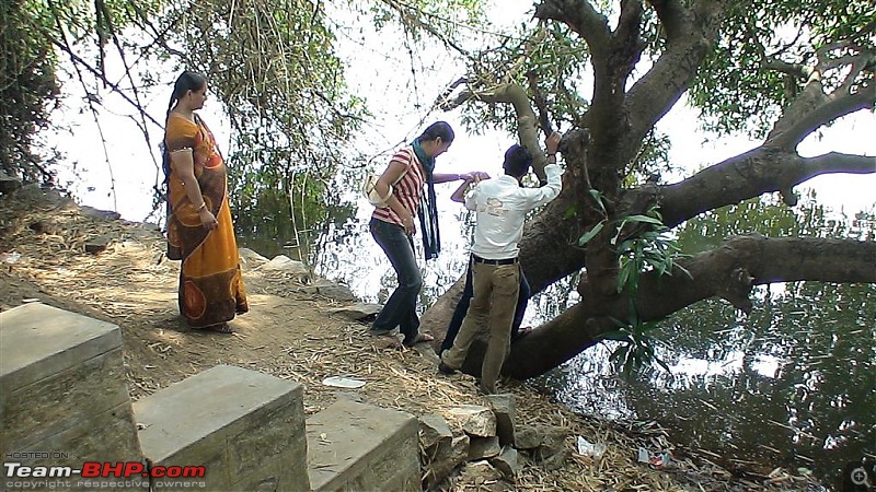 A day at Ranganathittu Bird Sanctuary and Balmuri / Yedamuri Falls-dsc01083-large.jpg