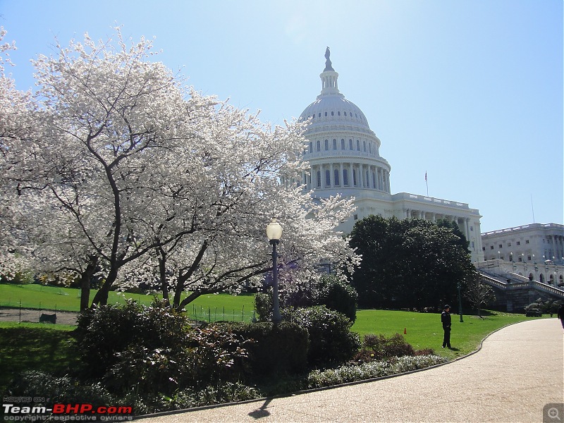 PhotoLoG - Washington D.C & Luray Caverns, VA-dsc00423.jpg