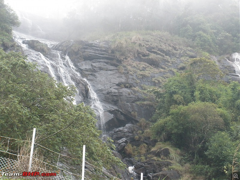 SriSha's D'Log - Trip to Munnar & Thekkady-p5040450.jpg