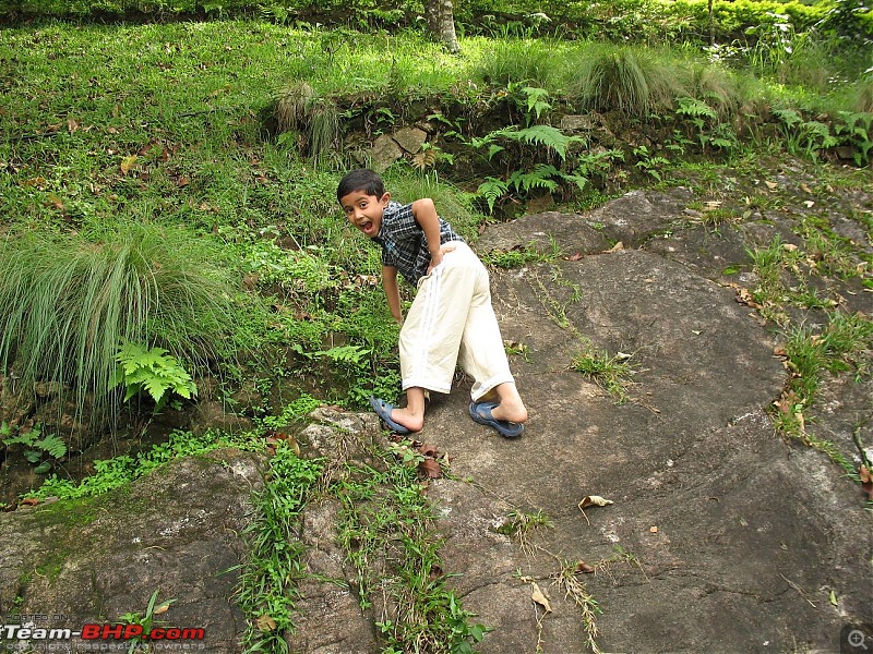 Munnar - Quick write up and a few pics-chota-bheem.jpg