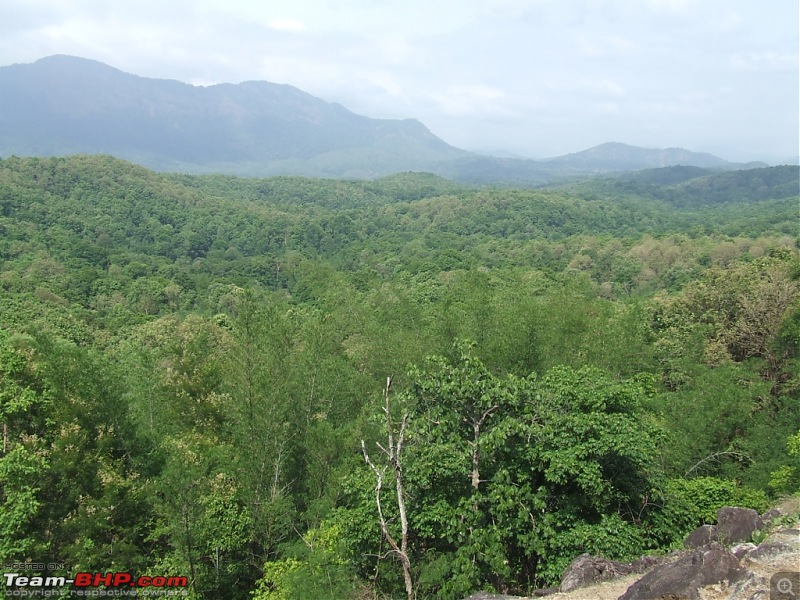 White Lightning strikes Valparai-24.jpg